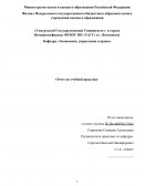 Отчет по практике в следственном отделе в Отделе Министерства Внутренних дел России по Чайковскому району