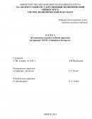 Отчет по практике на примере ТКУП «Универмаг Беларусь»