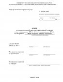 Отчет по практике на ООО «Торговая шинная компания»