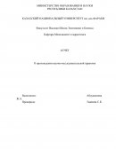 Отчет по практике в отделе региональной экономики и инновационного развития Института экономики