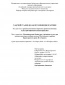 Отчет по практике в МБУК МКС ДК «Горняк»