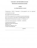 Отчет по учебной практике в СПб ГБПОУ «ПЕТРОВСКИЙ КОЛЛЕДЖ»