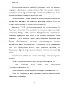 Отчет по практике в «Kazakhmys Energy» ЖШС