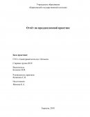 Отчет по практике в ГУО « Санаторный ясли-сад г.Копыля»