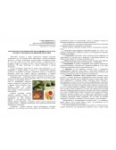 Анализ качества и безопасности пальмового масла как элемента сырьевой базы пищевой продукции