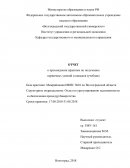 Отчет по практике в Межрайонной ИФНС №10 по Волгоградской области