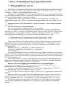 Отчет по практике в Шахте им. А.А.Скочинского