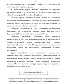 Дипломная работа: Проблемы и пути совершенствования казначейского контроля в бюджетной системе РФ