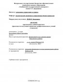 Отчет по практике в отделе администрации Жердевского района Тамбовской области