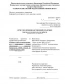 Отчет по практике в УФНС по Ставропольскому краю
