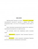 Отчет по практике в турфирме ООО "Первое экскурсионное бюро"