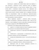 Отчет по практике на підприємстві ТОВ "ПІВНІЧ КОЛОР ГРУП"