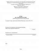 Отчет по практике на ИП Картышова Наталия Григорьевна