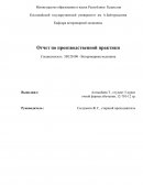 Отчет по производственной практики в ГКП на ПХВ «Ветсервис»