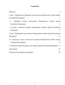 Курсовая работа: Особенности государственной службы в федеральной исполнительной ветви власти