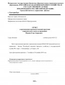 Отчет по практике на базе юридической клиники ФГБОУ ВО Уральский институт управления