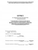 Отчет по преддипломной практике в организации «Сыродельный завод»