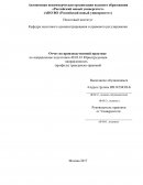 Отчет по производственной практике в Совете Новоселицкого муниципального района Ставропольского края