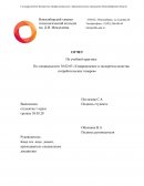 Отчет по практике в ТРЦ «Сибирский молл»