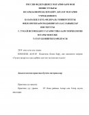 Отчет по практике в ТР Альпарские и татарские муллы села Алкеевского района