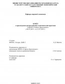 Отчет о прохождении организационно-экономической практики в ИООО «Софтек Девелопмент»