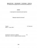 Отчет по практике в ОАО «БВФБ»