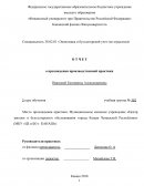 Отчет о прохождении производственной практики в МКУ «ЦЗ и БО г. КАНАШ»
