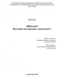 Контрольная работа: История шоколада