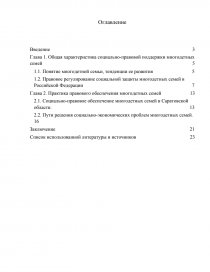 Контрольная работа: Поддержка многодетных семей в РФ