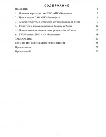 Отчет по практике: Анализ деятельности ОАО АНК Башнефть