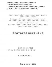 Реферат: Выбор и обоснование схемы вскрытия и системы разработки месторождения