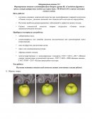 Формирование навыков в идентификации товаров группы 08. «Съедобные фрукты и орехи; кожура цитрусовых плодов или корки дынь»