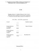 Отчет по производственной практике в «Барыс 2007»