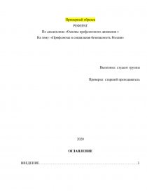 Реферат: Оценка уровня развития социальной политики в РФ