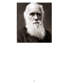 Реферат: Жизнь и творчество Ч. Дарвина