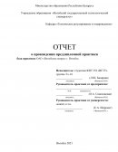 Отчет по практике в ОАО «Витебские ковры» г. Витебск