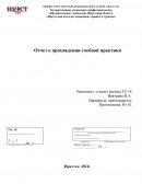 Отчет о прохождении учебной практики в Гостинице "Baikal View Hotel"