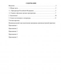  Отчет по практике по теме Организация и деятельность органов местного самоуправления