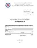 Функционирование национальной платёжной системы «МИР» Российской Федерации