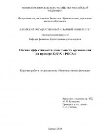 Курсовая работа: Оценка эффективности деятельности государственных служащих