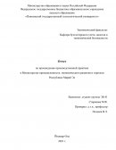 Отчет по практике в Министерстве промышленности, экономического развития и торговли Республики Марий Эл