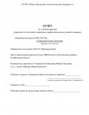 Отчет по учебной практике в Отделе МВД России по Каслинскому району Челябинской области