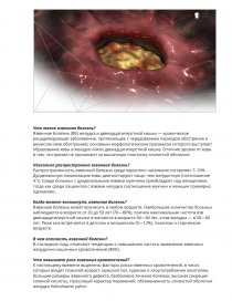 Реферат: Язвенная болезнь