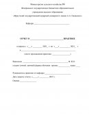Отчет по практике в ОАО «Иркутская электросетевая компания»