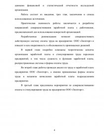 Курсовая работа: Особенности организации труда и заработной платы на предприятиях малого бизнеса