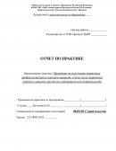 Отчет по практике на ремонтно-строительном участке (РСУ) предприятия «Уралкриомаш» (УКМ)