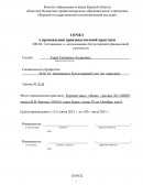 Отчет по практике в АО «ННПО имени М.В. Фрунзе»