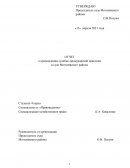 Отчет по практике в УО «БИП – Университет права и социально-информационных технологий»