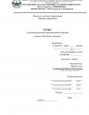 Отчет по производственной преддипломной практике на базе СПК Колхоз «Родина»
