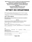 Отчет по практике в ООО «Алтай - Сервис»